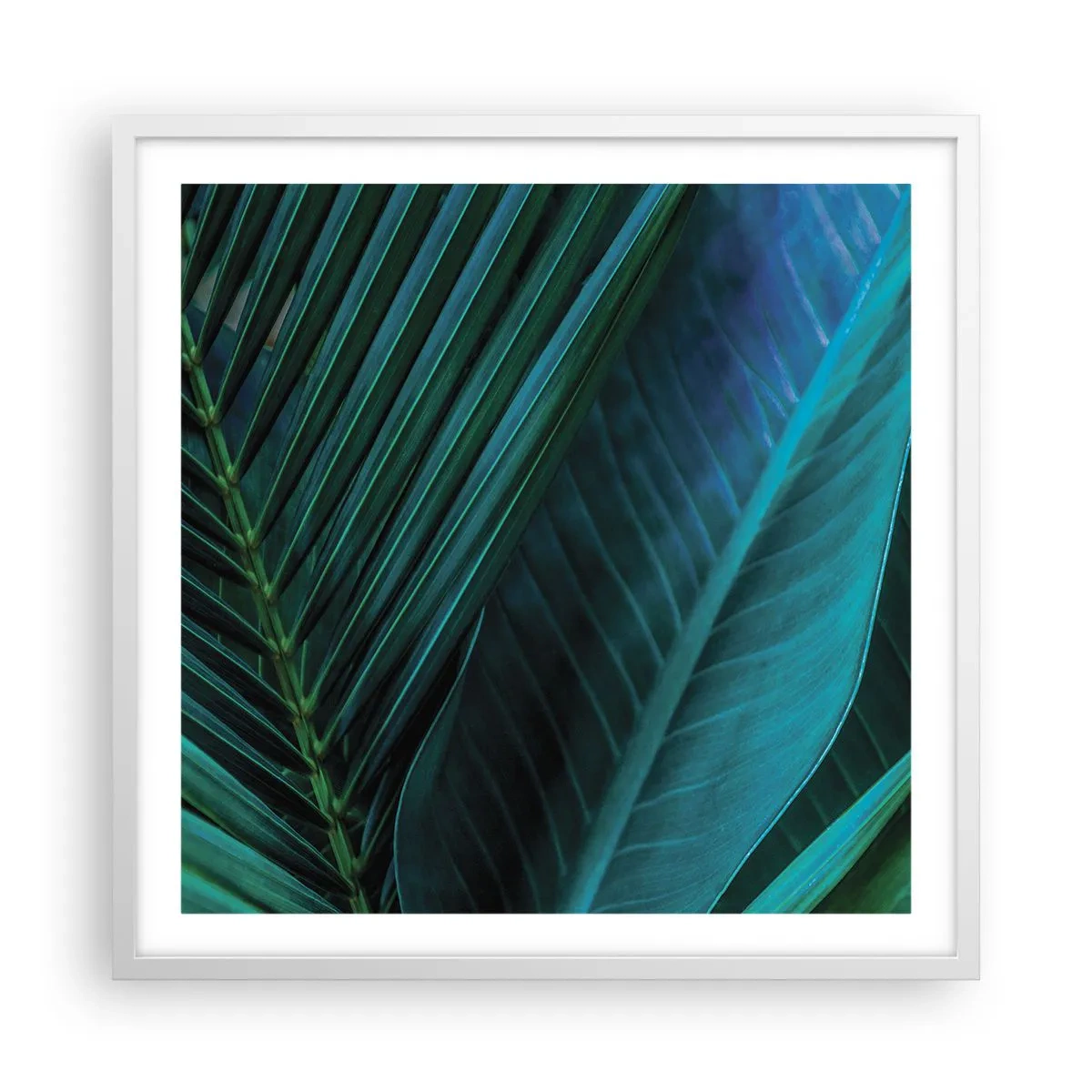 Plakat w białej ramie - Anatomia zieleni - 60x60 cm