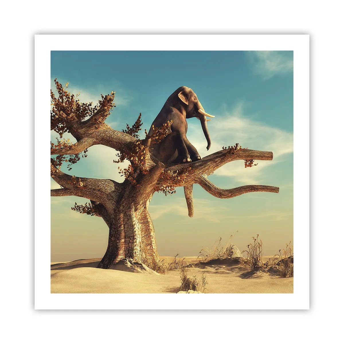 Plakat - Nowy punkt widzenia - 60x60 cm