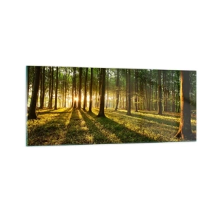 Obraz na szkle - Fotografia wszystkich wiosen - 100x40 cm