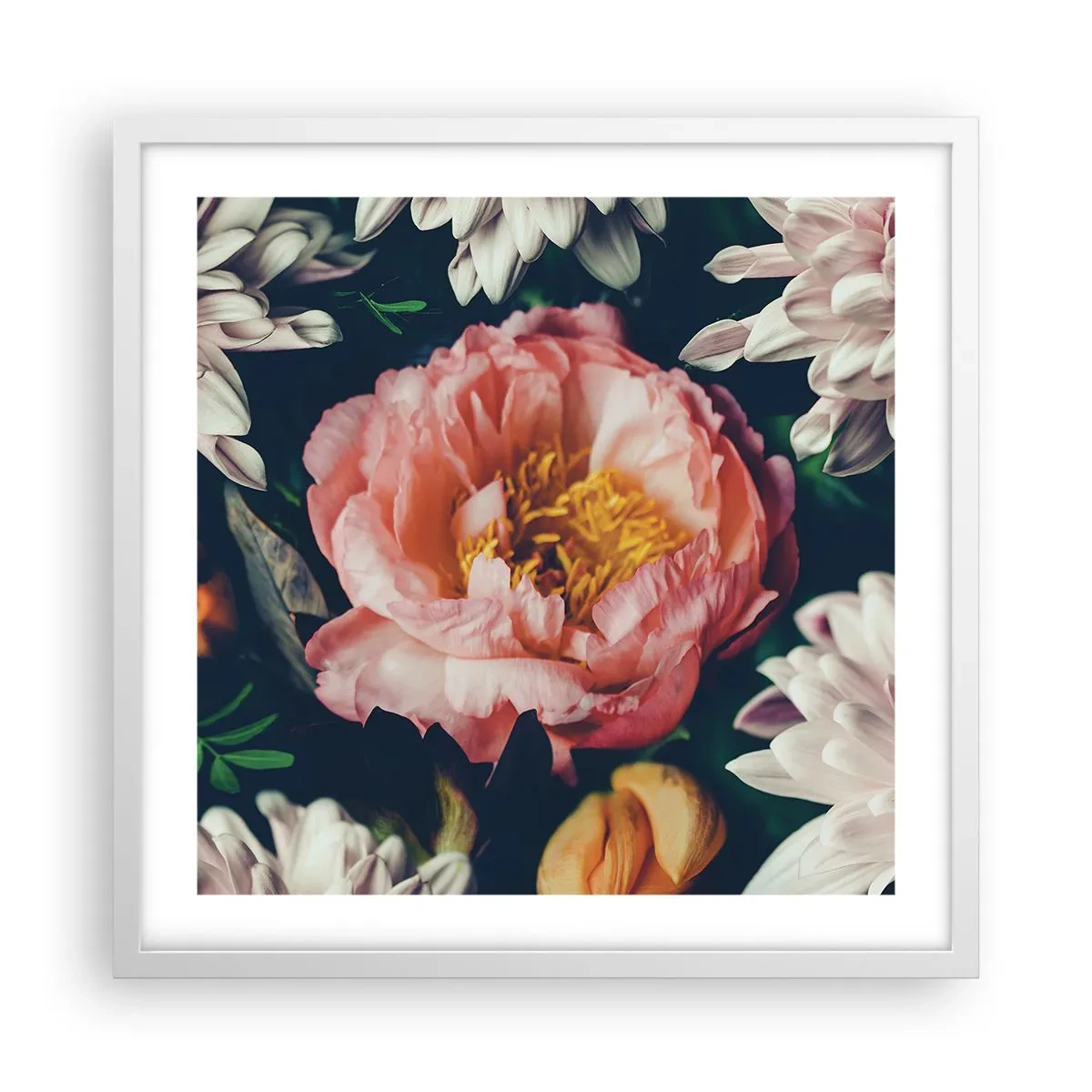 Plakat w białej ramie - Z barokowym przepychem - 50x50 cm