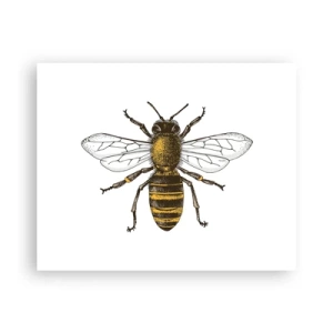 Plakat - Piękna i dobra - 50x40 cm