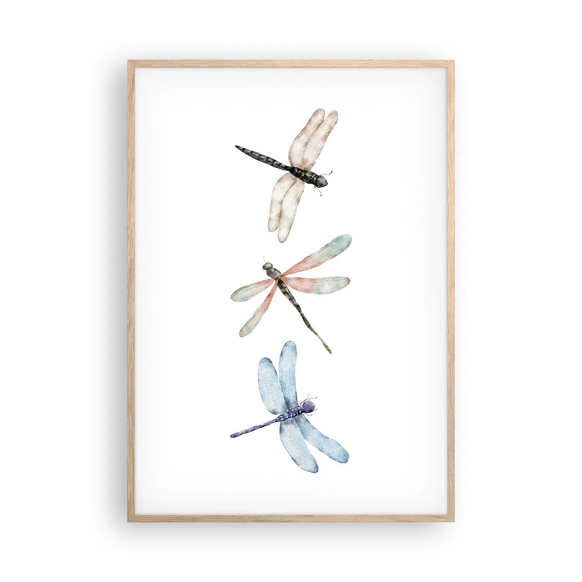 Plakat w ramie jasny dąb - Ważki nieważkie - 70x100 cm
