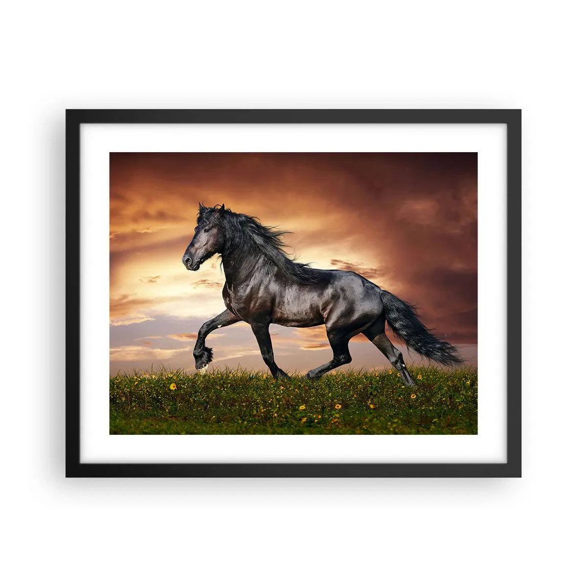 Plakat w czarnej ramie - Czarny książę - 50x40 cm