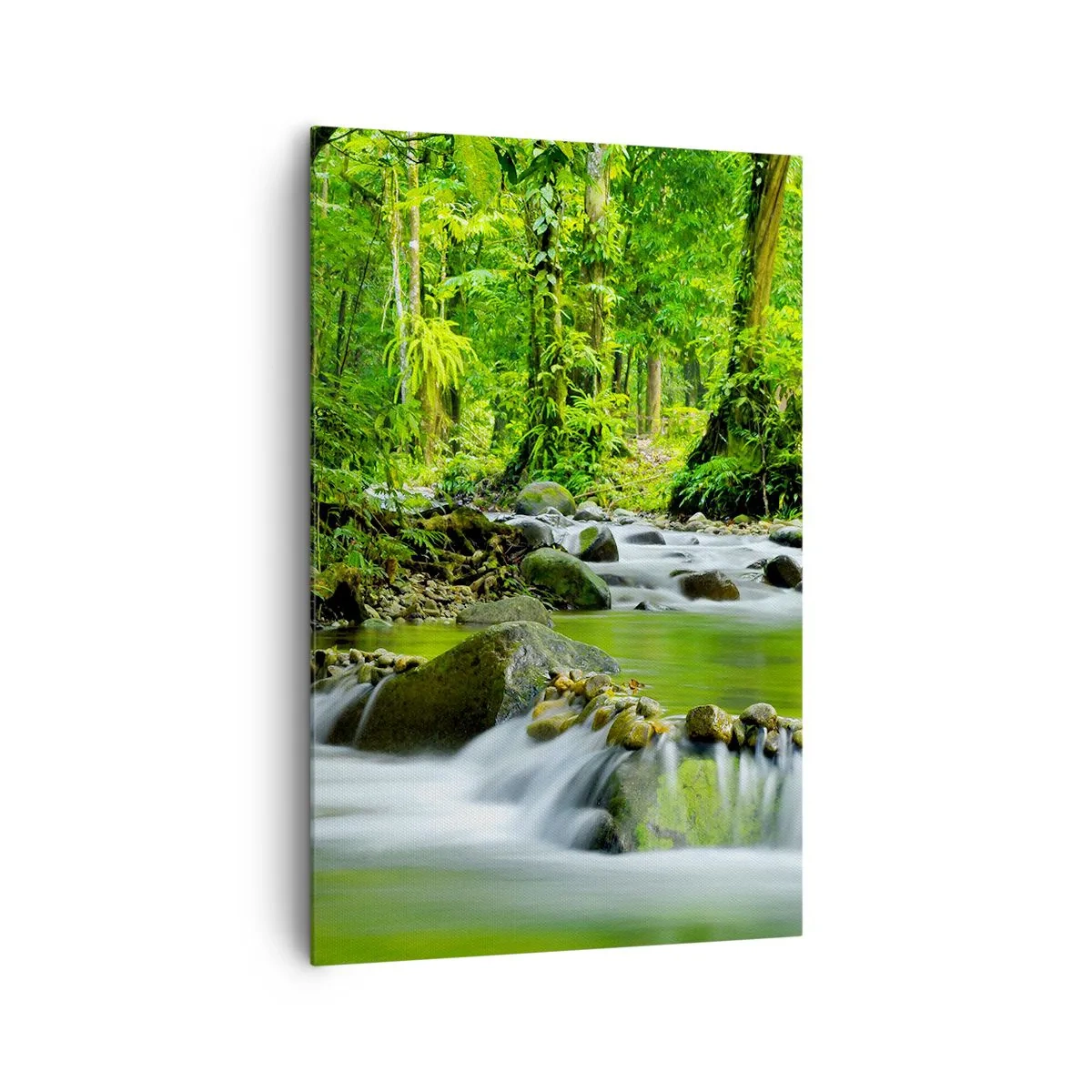 Obraz na płótnie - Strumień w lesie tropikalnym z bujną zielenią - 80x120cm - Popłynąć w morzu zieleni - Nowoczesna dekoracja ścienna do salonu i sypialni ARTTOR