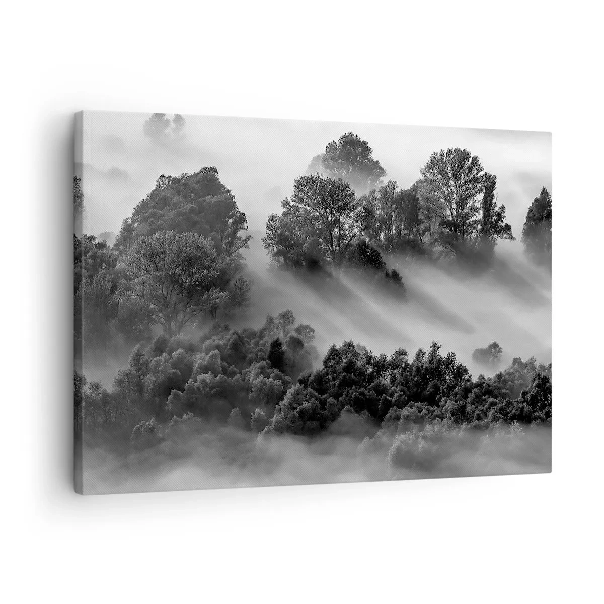 Obraz na płótnie - Czarno-biały pejzaż lasu w porannej mgle - 70x50cm - Wstający ze snu - Nowoczesna dekoracja ścienna do salonu i sypialni ARTTOR
