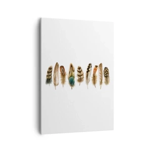 Obraz na płótnie - Różnorodne kolorowe pióra na białym tle - 50x70cm - Pierzasta wariacja - Nowoczesna dekoracja ścienna do salonu, kuchni i sypialni ARTTOR