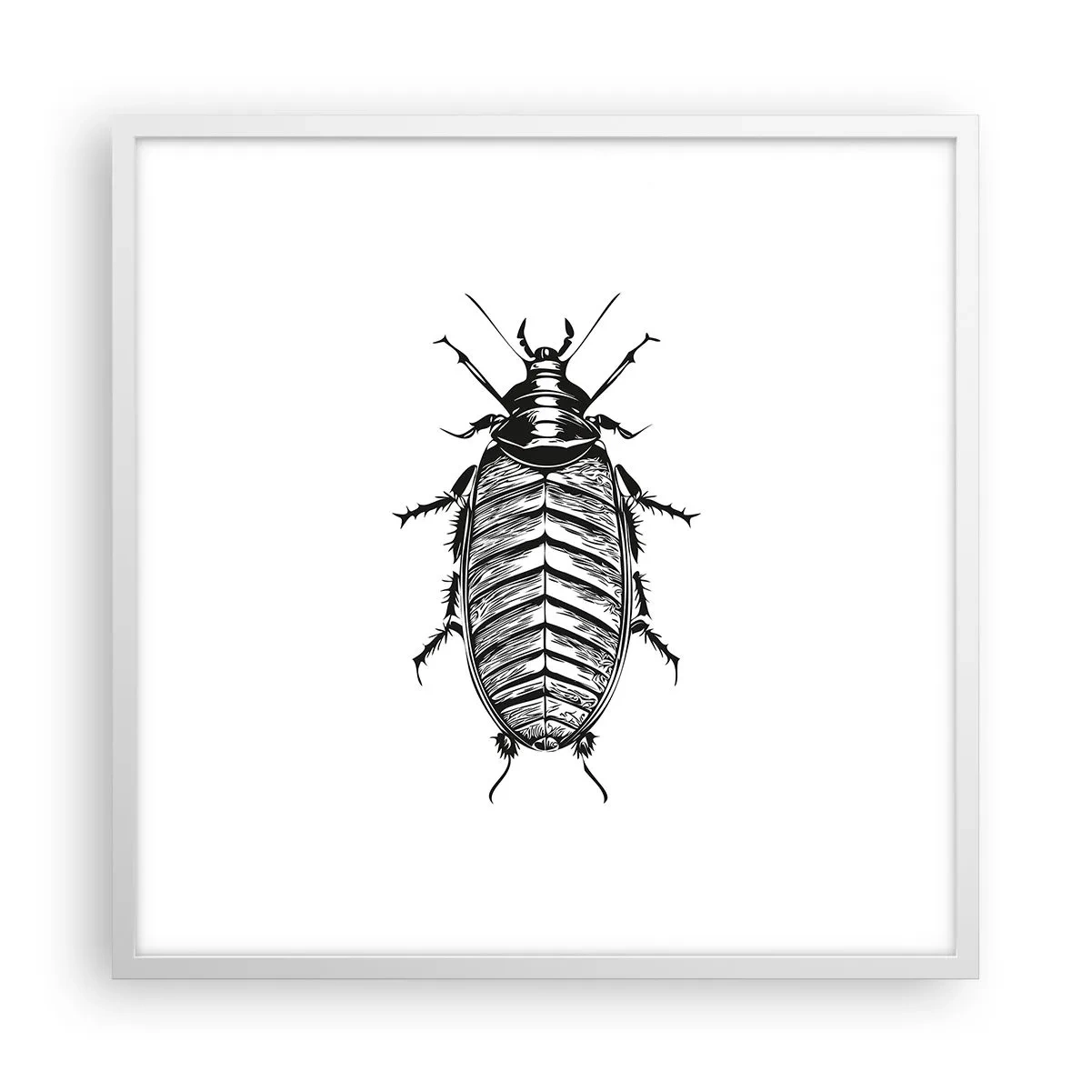 Plakat w białej ramie - Co za okaz! - 60x60 cm