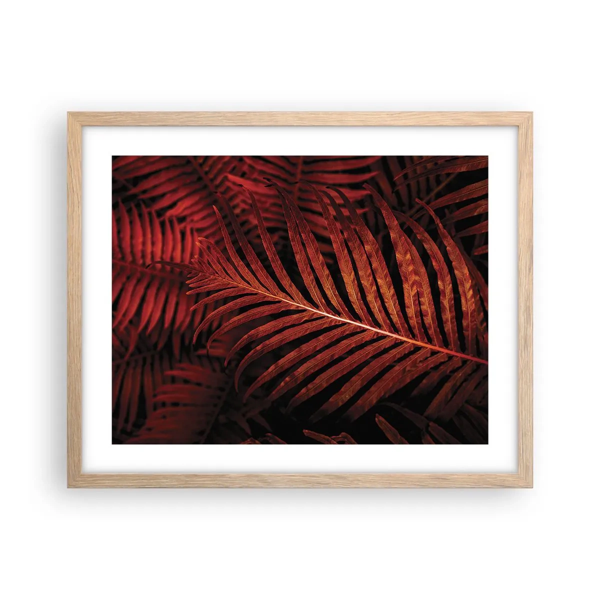 Plakat w ramie jasny dąb - Żar życia - 50x40 cm
