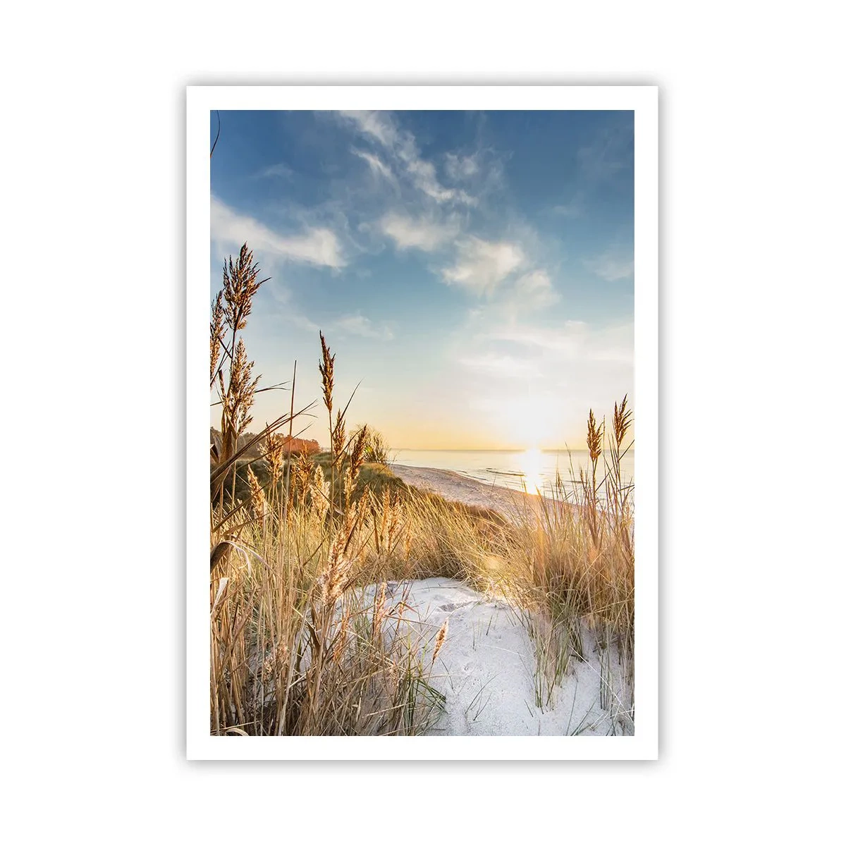 Plakat - Północna plaża - 70x100 cm