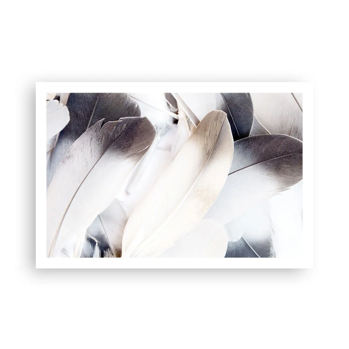 Plakat - Niemal anielskie - 91x61 cm