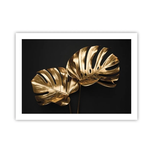 Plakat - Skarby natury - 70x50 cm