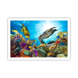 Plakat - Koralowa promenada - 91x61 cm