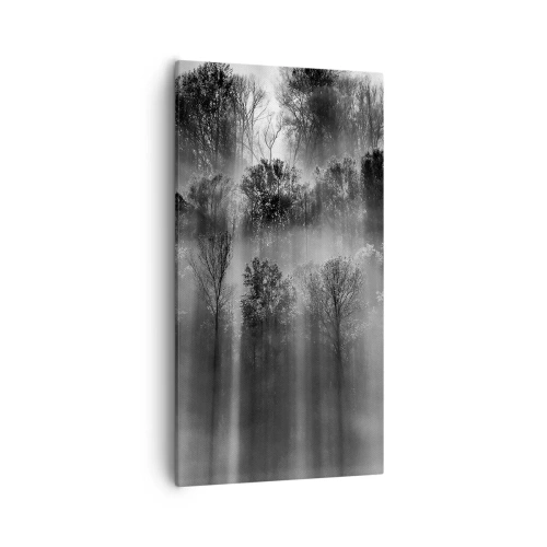 Obraz na płótnie - W strumieniach światła - 55x100 cm