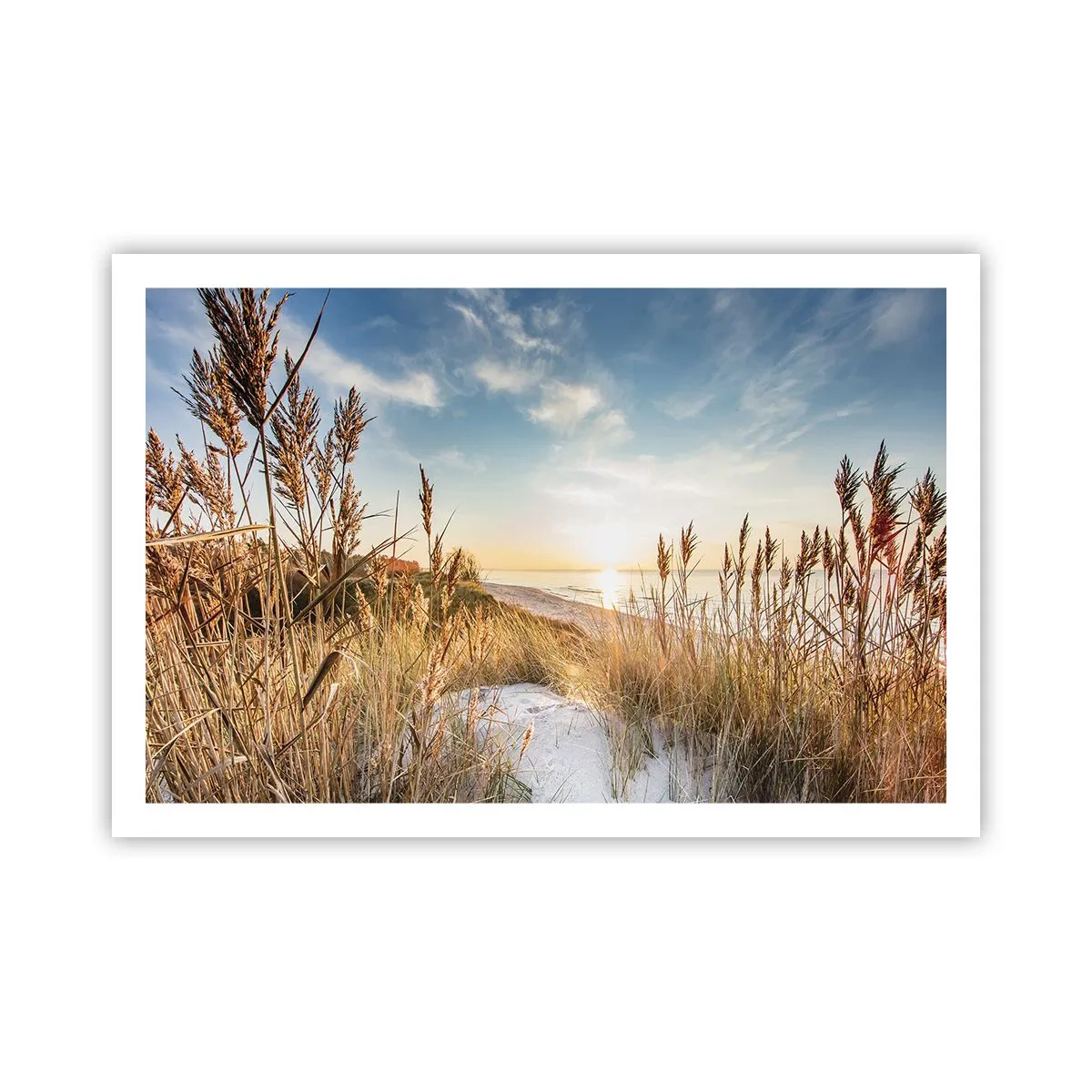 Plakat - Północna plaża - 91x61 cm