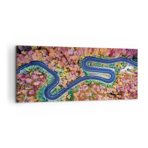 Obraz na płótnie - Krętą drogą poprzez las - 100x40 cm