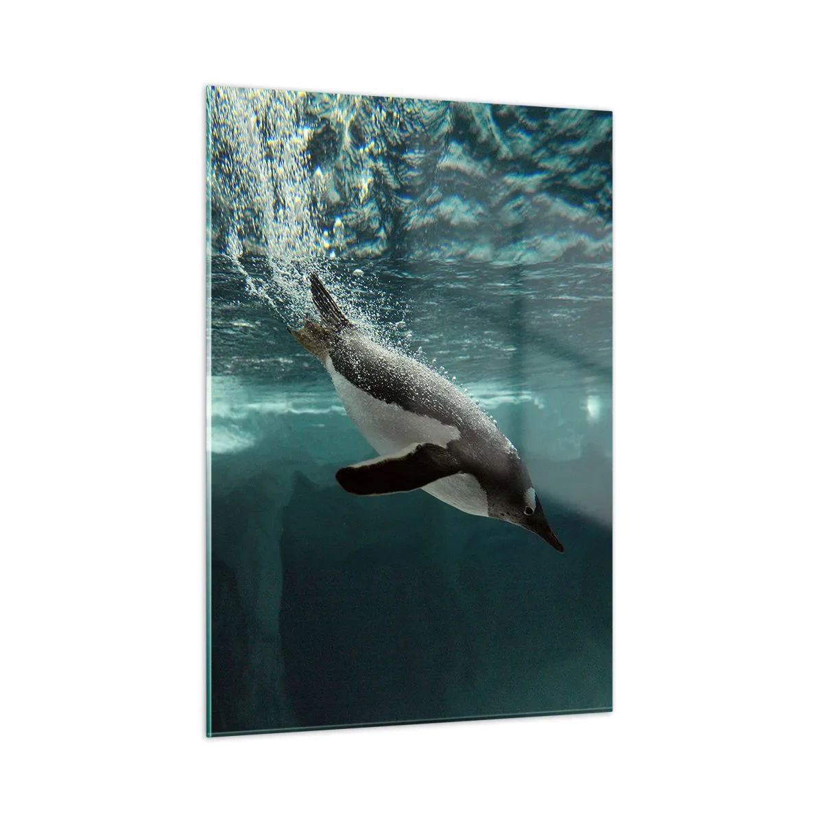 Obraz na szkle - Pingwin pod wodą - 50x70cm - Witaj w moim świecie - Nowoczesna dekoracja ścienna do salonu, kuchni i sypialni ARTTOR