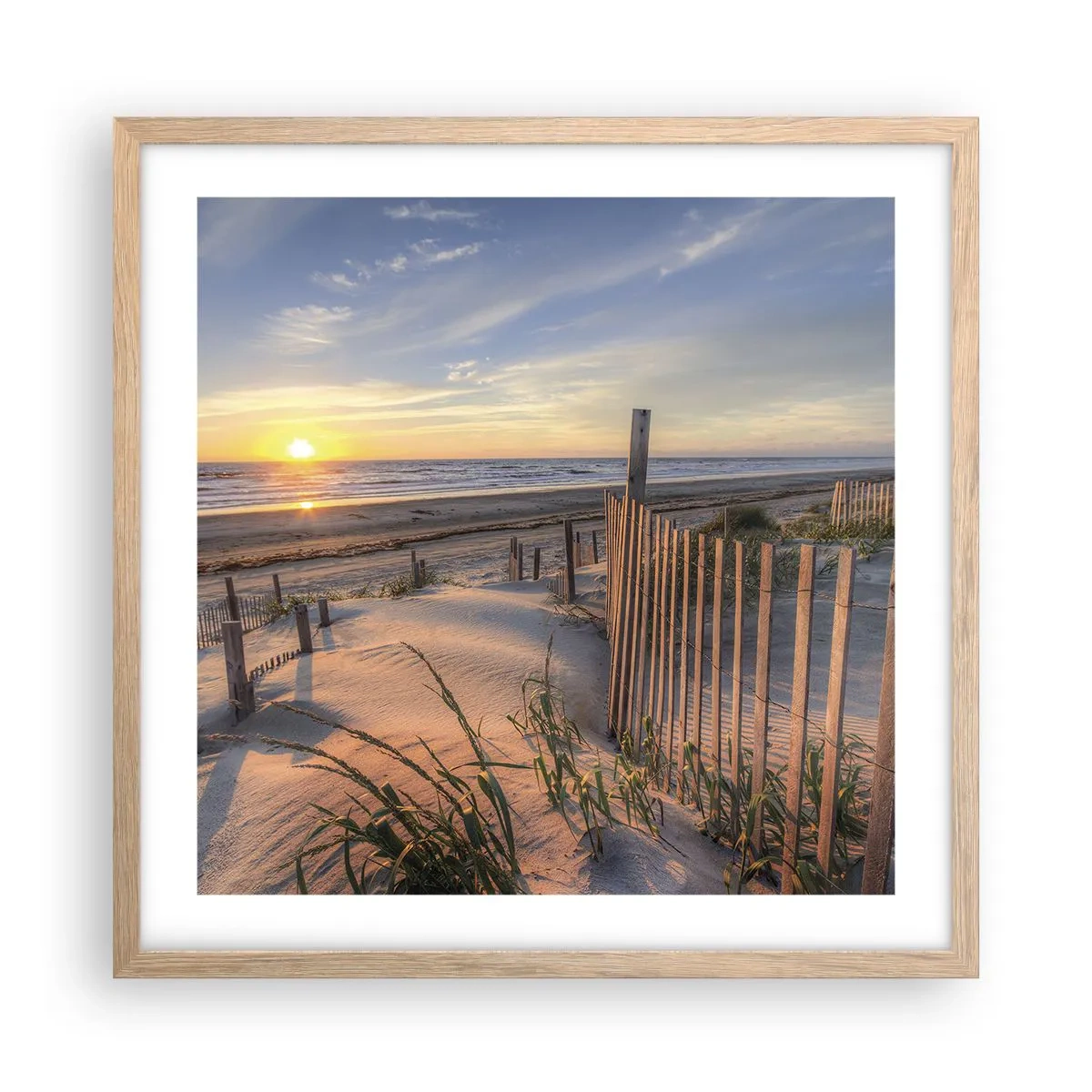 Plakat w ramie jasny dąb - Blask i cień wiatru - 50x50 cm