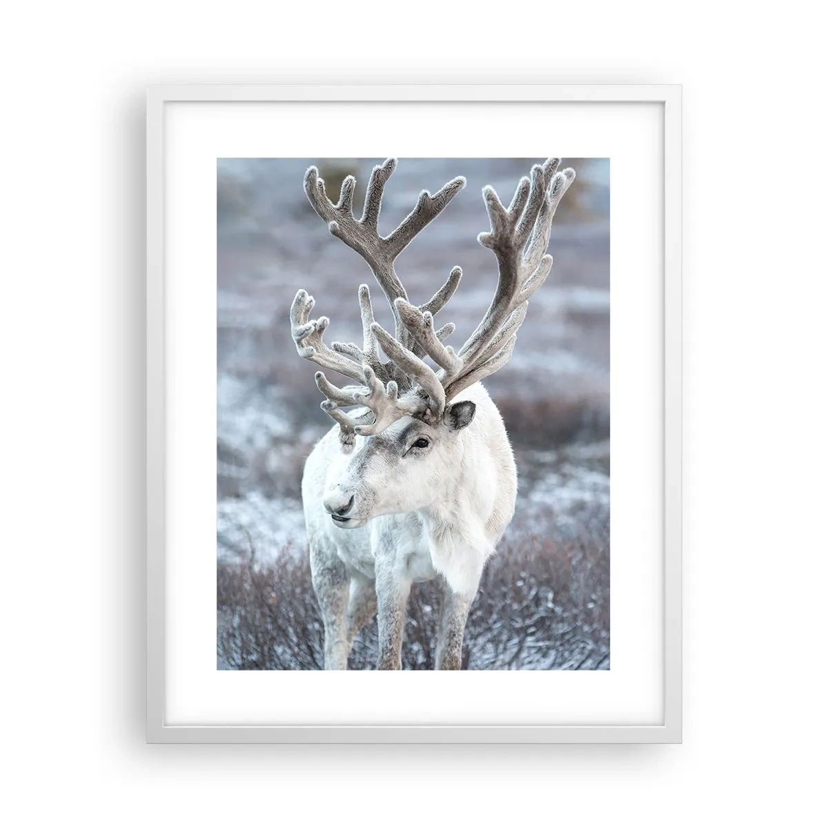 Plakat w białej ramie - Portret w słońcu - 40x50 cm