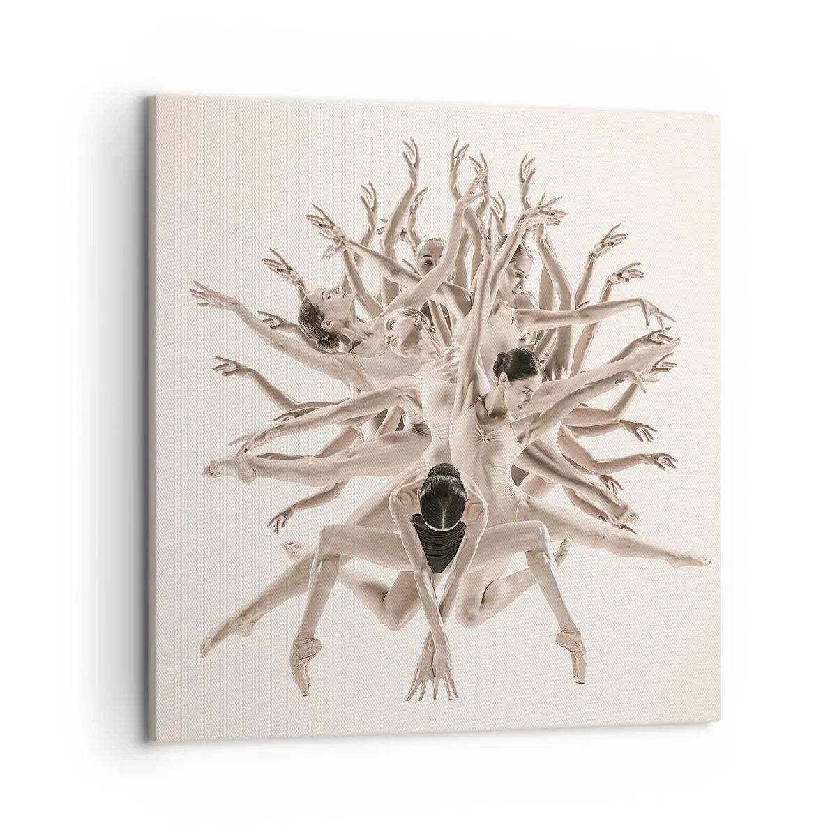 Obraz na płótnie - Rozkwitanie w tańcu - 50x50 cm