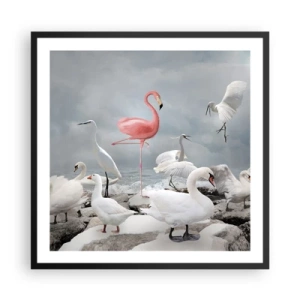 Plakat w czarnej ramie - Skąd się tu wziąłem? - 60x60 cm