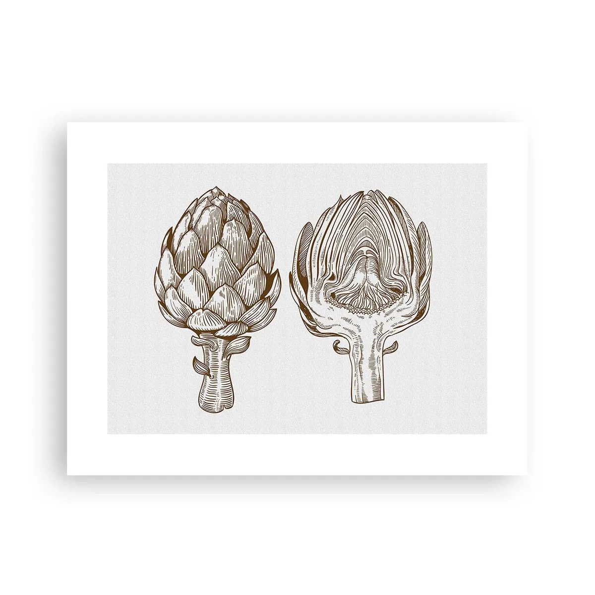 Plakat - Lekcja anatomii - 40x30 cm