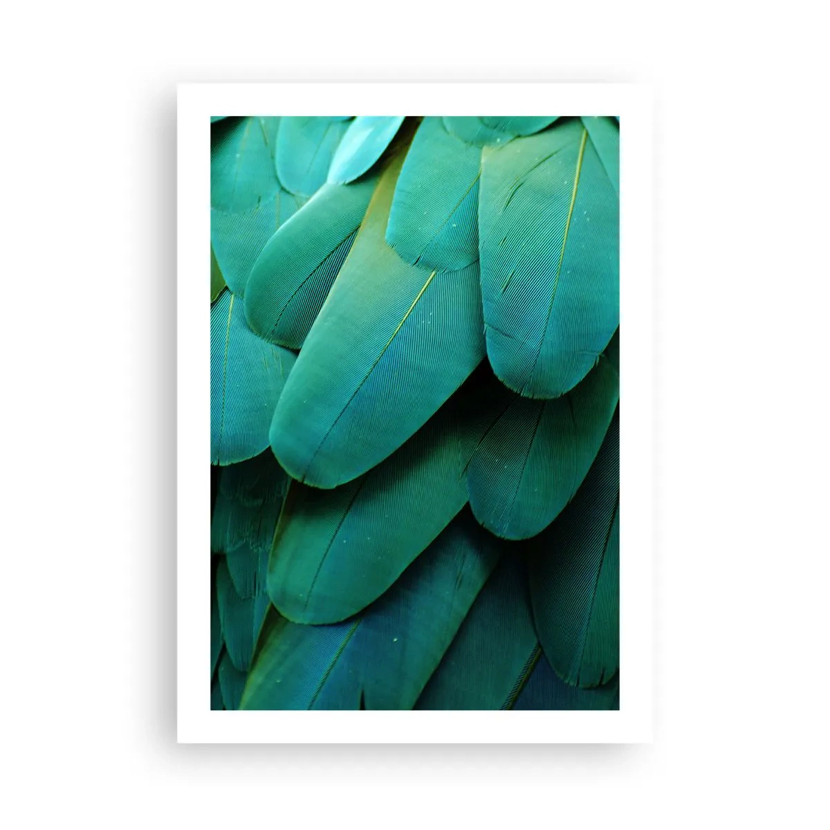 Plakat - Zbliżenie na zielone pióra egzotycznego ptaka - 50x70cm - Precyzja papuziej natury - Nowoczesna dekoracja ścienna do salonu, kuchni i sypialni ARTTOR