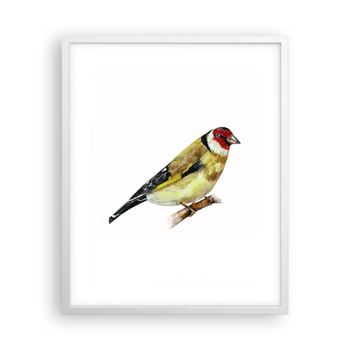 Plakat w białej ramie - Ptasi portret - 40x50 cm