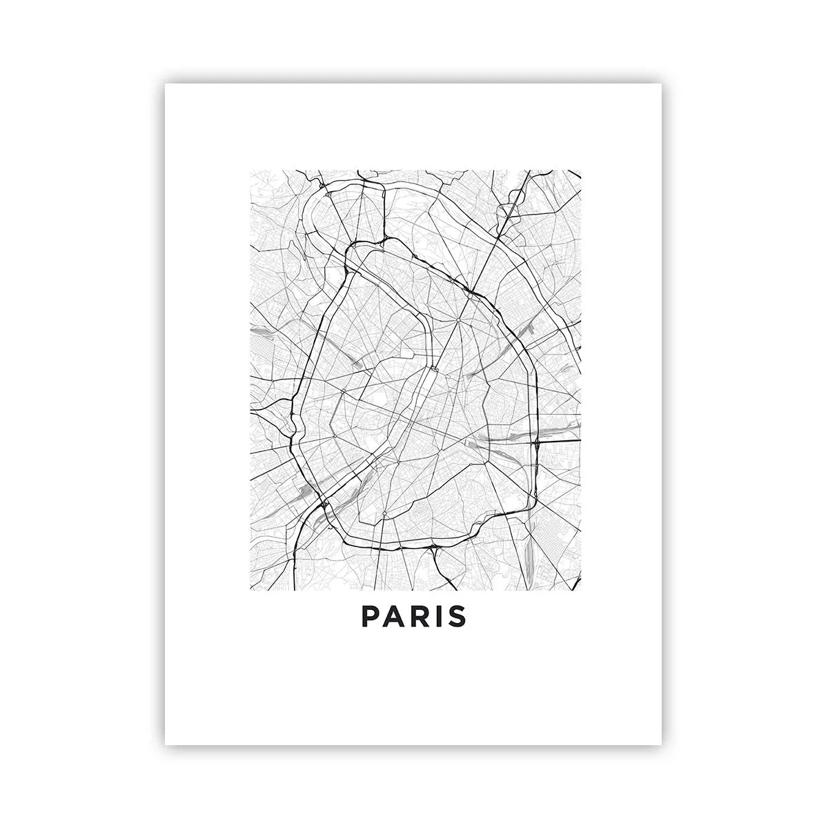 Plakat - Kwiat Paryża - 30x40 cm