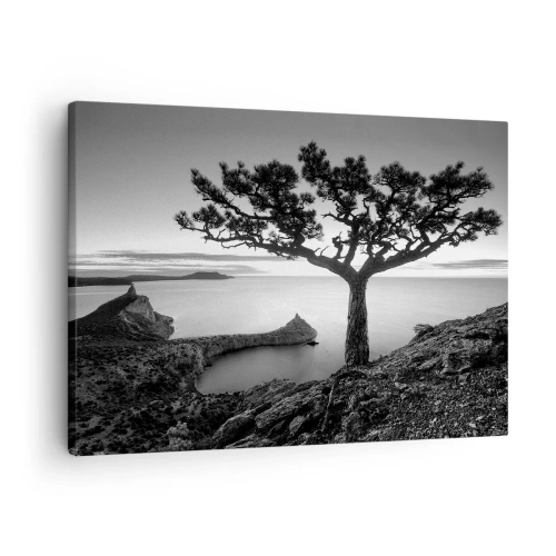 Obraz na płótnie - Czarno-biały krajobraz z samotnym drzewem na klifie nad morzem - 70x50cm - Spokój aż po horyzont - Nowoczesna dekoracja ścienna do salonu i sypialni ARTTOR