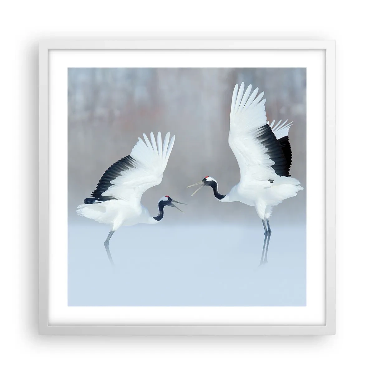 Plakat w białej ramie - Taniec we mgle - 50x50 cm