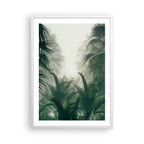 Plakat w białej ramie - Tropikalna tajemnica - 50x70 cm