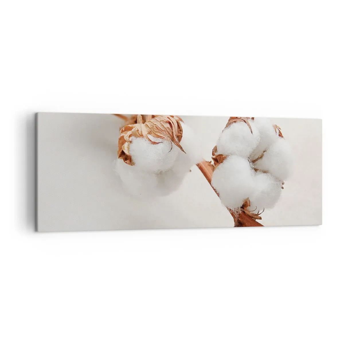Obraz na płótnie - Gałązka bawełny na subtelnym tle - 140x50cm - Tylko tulić - Nowoczesna dekoracja ścienna do salonu i sypialni ARTTOR