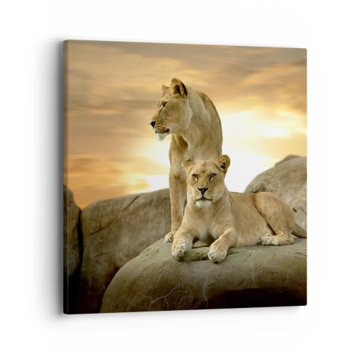 Obraz na płótnie - Królewski majestat - 40x40 cm