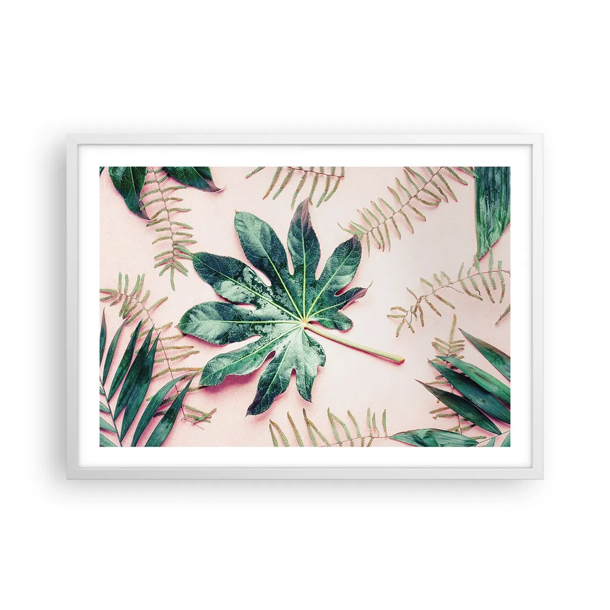 Plakat w białej ramie - Studium zieleni na różowym tle - 70x50 cm