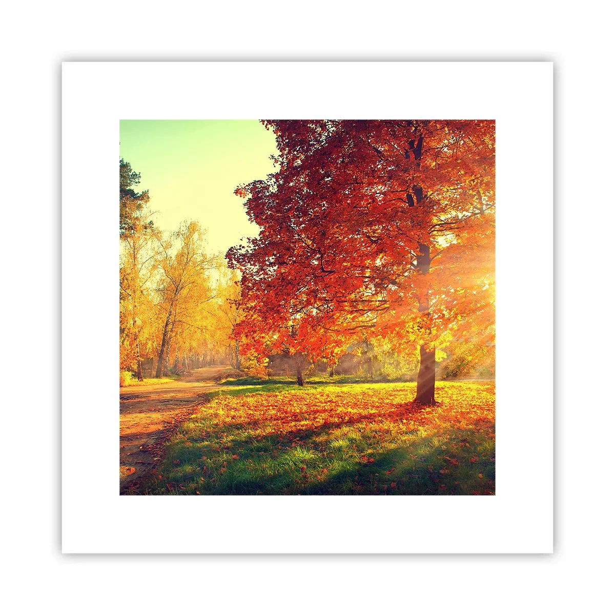 Plakat - Rude jest piękne - 30x30 cm