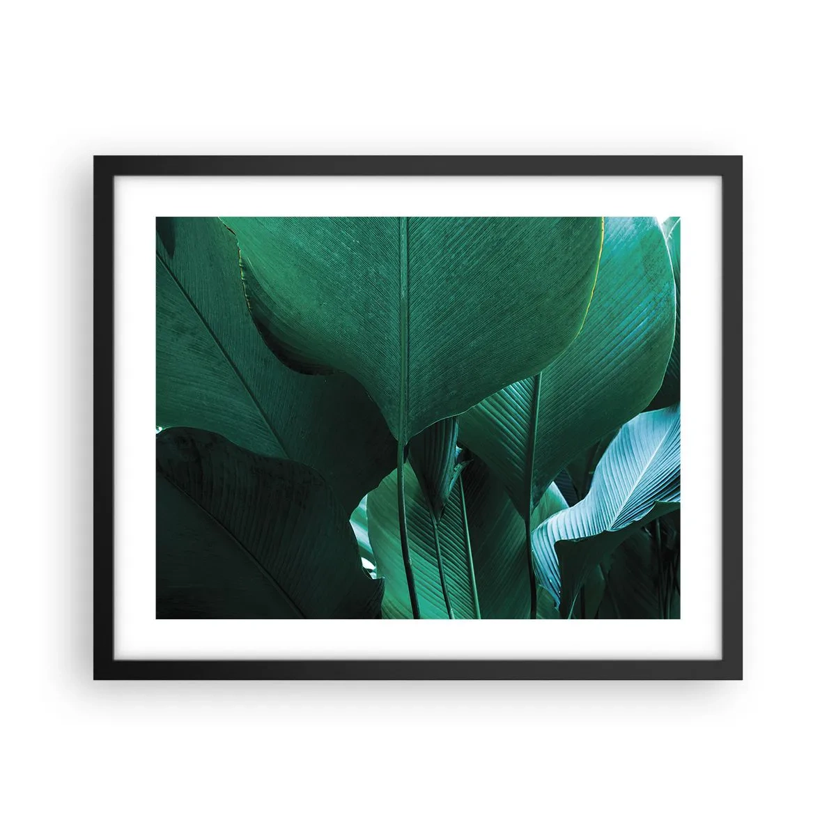 Plakat w czarnej ramie - Zwrócone do światła - 50x40 cm