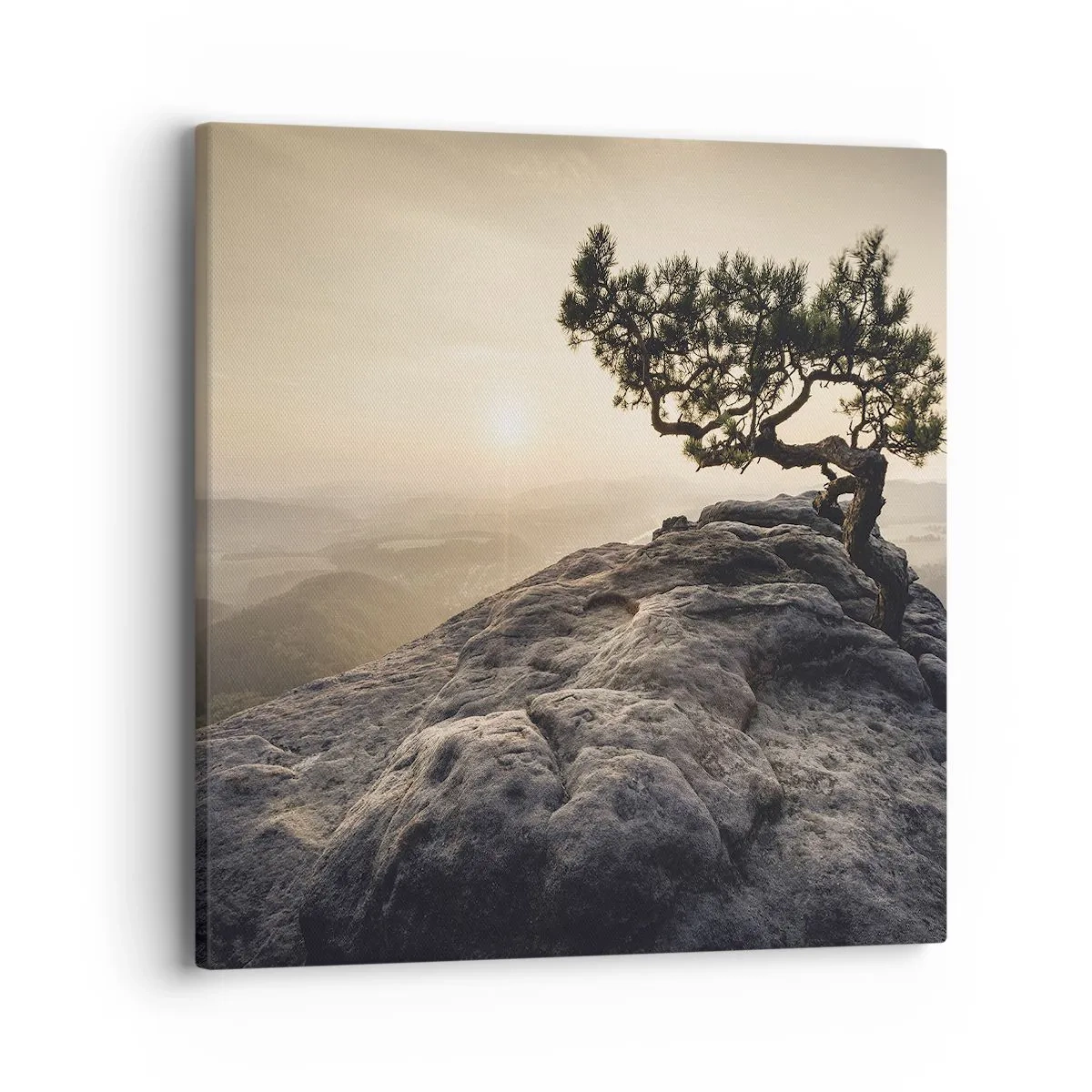 Obraz na płótnie - Życie zawsze zwycięża - 40x40 cm