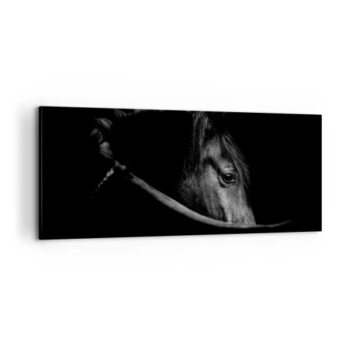 Obraz na płótnie - Czarny książę - 100x40 cm