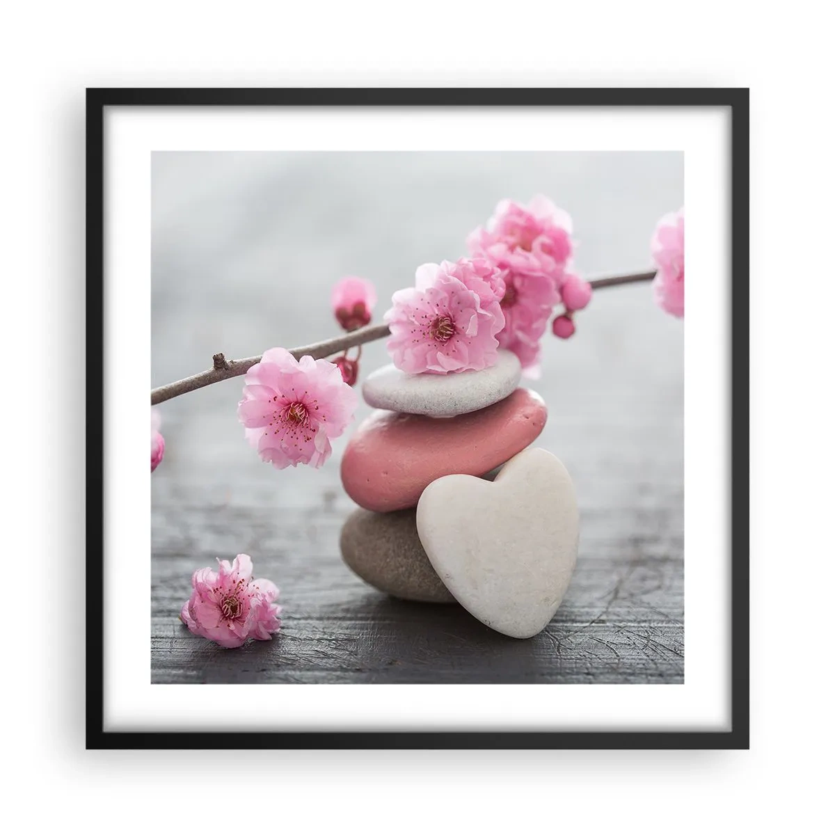 Plakat w czarnej ramie - Błogość z kwiatem wiśni - 50x50 cm