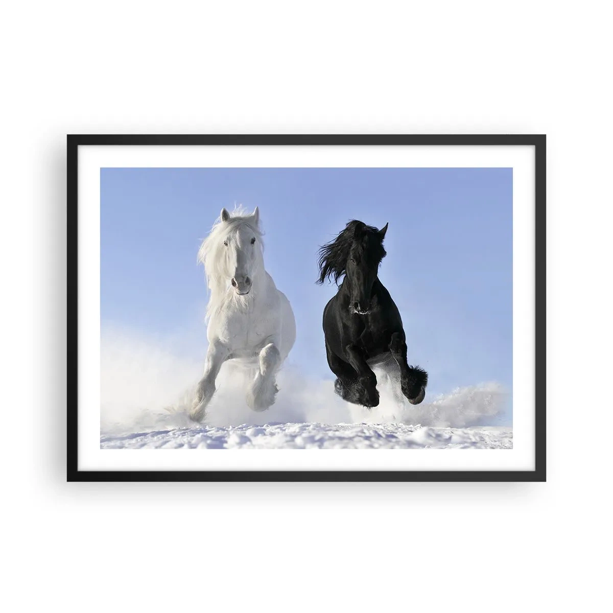 Plakat w czarnej ramie - Biały i czarny koń galopujące po śniegu - 70x50cm - Czarno-biały galop - Nowoczesna dekoracja ścienna do salonu i sypialni ARTTOR
