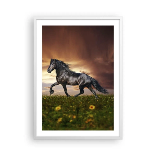 Plakat w białej ramie - Czarny książę - 50x70 cm