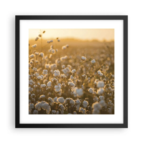 Plakat w czarnej ramie - Puszyste pole - 40x40 cm