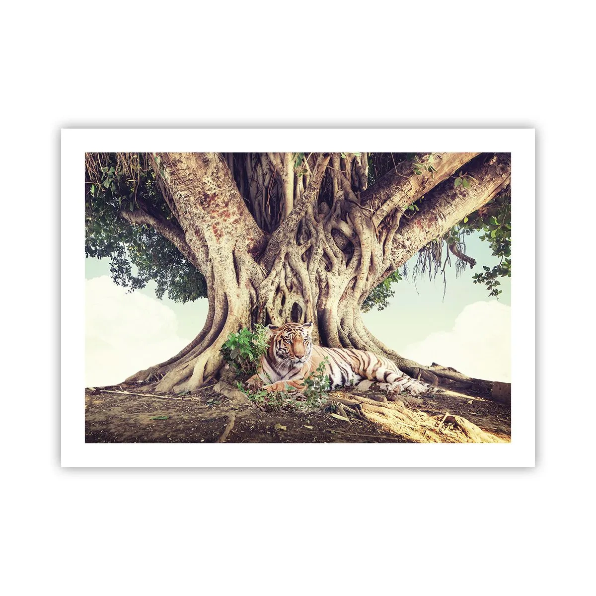 Plakat - Widok z Księgi Rodzaju - 70x50 cm