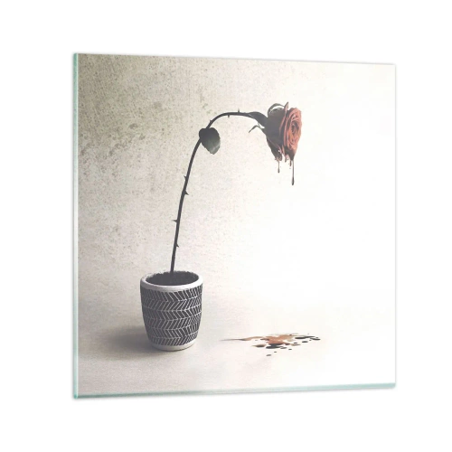 Obraz na szkle - Rosa dolorosa - 70x70 cm