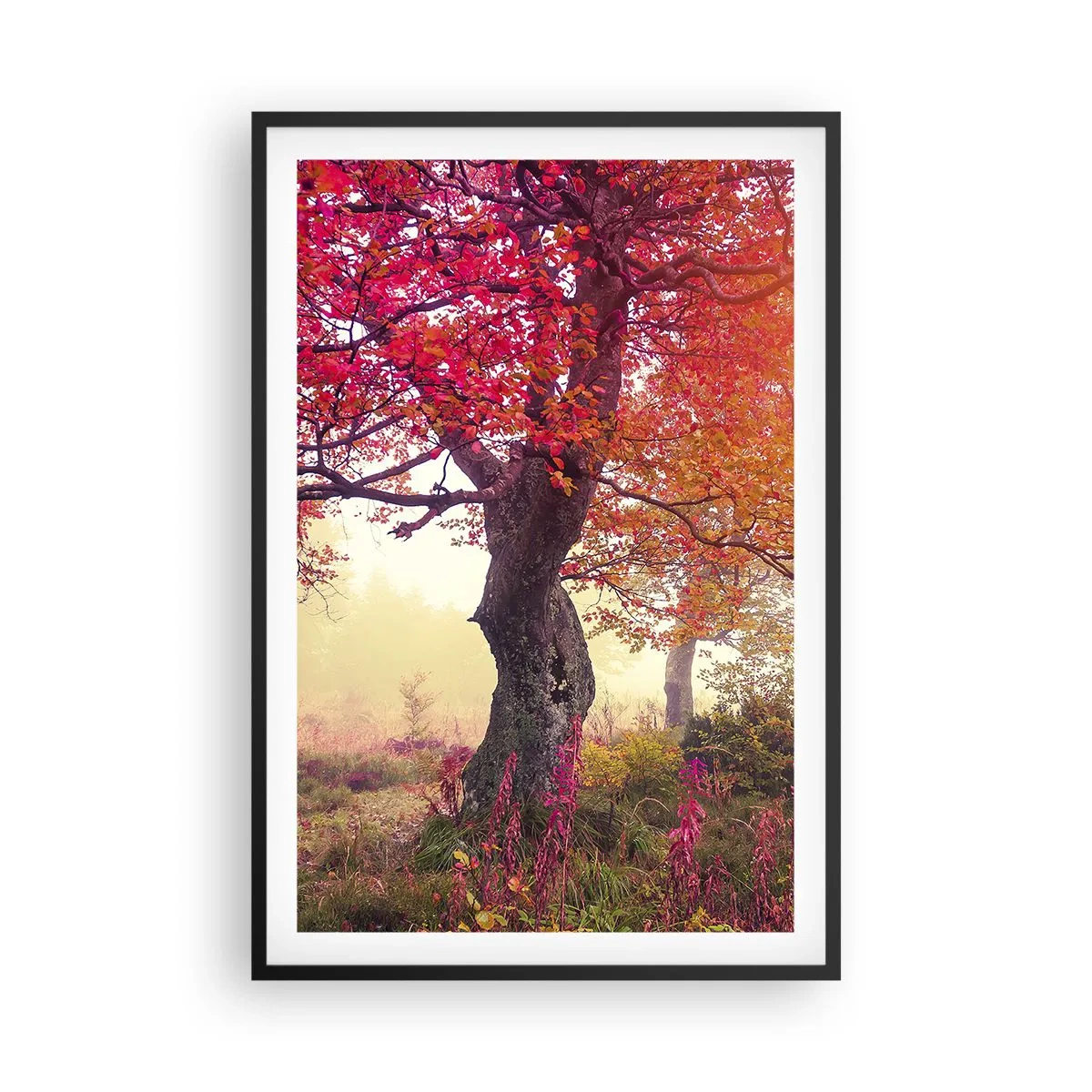 Plakat w czarnej ramie - Szał rozkwitu - 61x91 cm