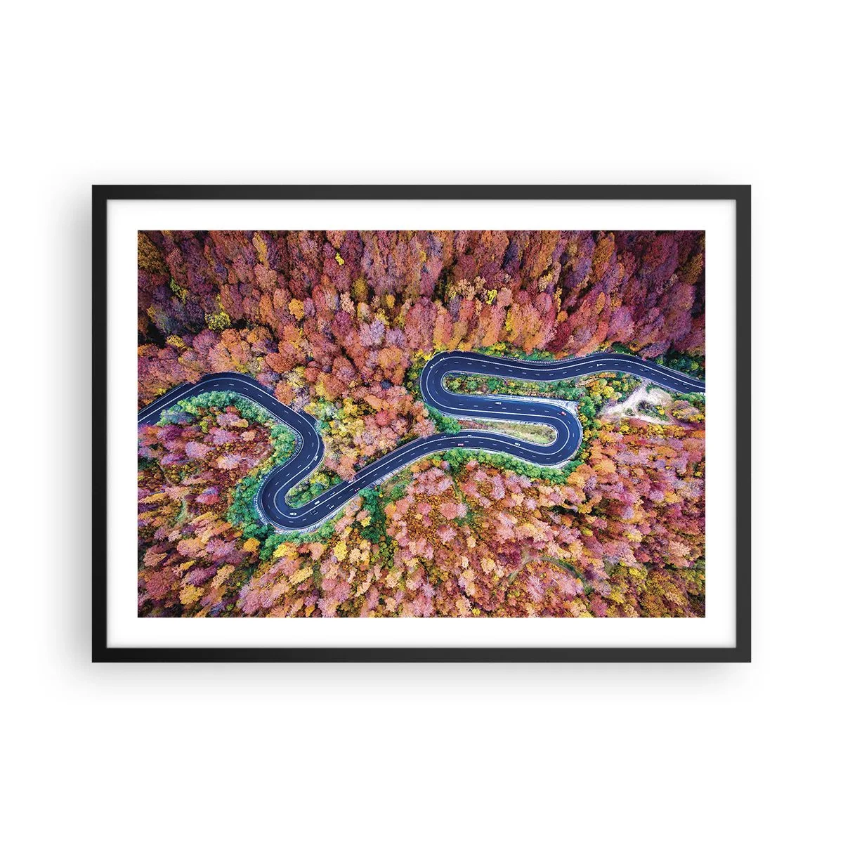 Plakat w czarnej ramie - Kręta droga w jesiennym lesie widziana z lotu ptaka - 70x50cm - Krętą drogą poprzez las - Nowoczesna dekoracja ścienna do salonu i sypialni ARTTOR