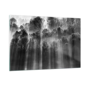 Obraz na szkle - Czarno-białe promienie światła przenikające przez las - 120x80cm - W strumieniach światła - Nowoczesna dekoracja ścienna do salonu, kuchni i sypialni ARTTOR