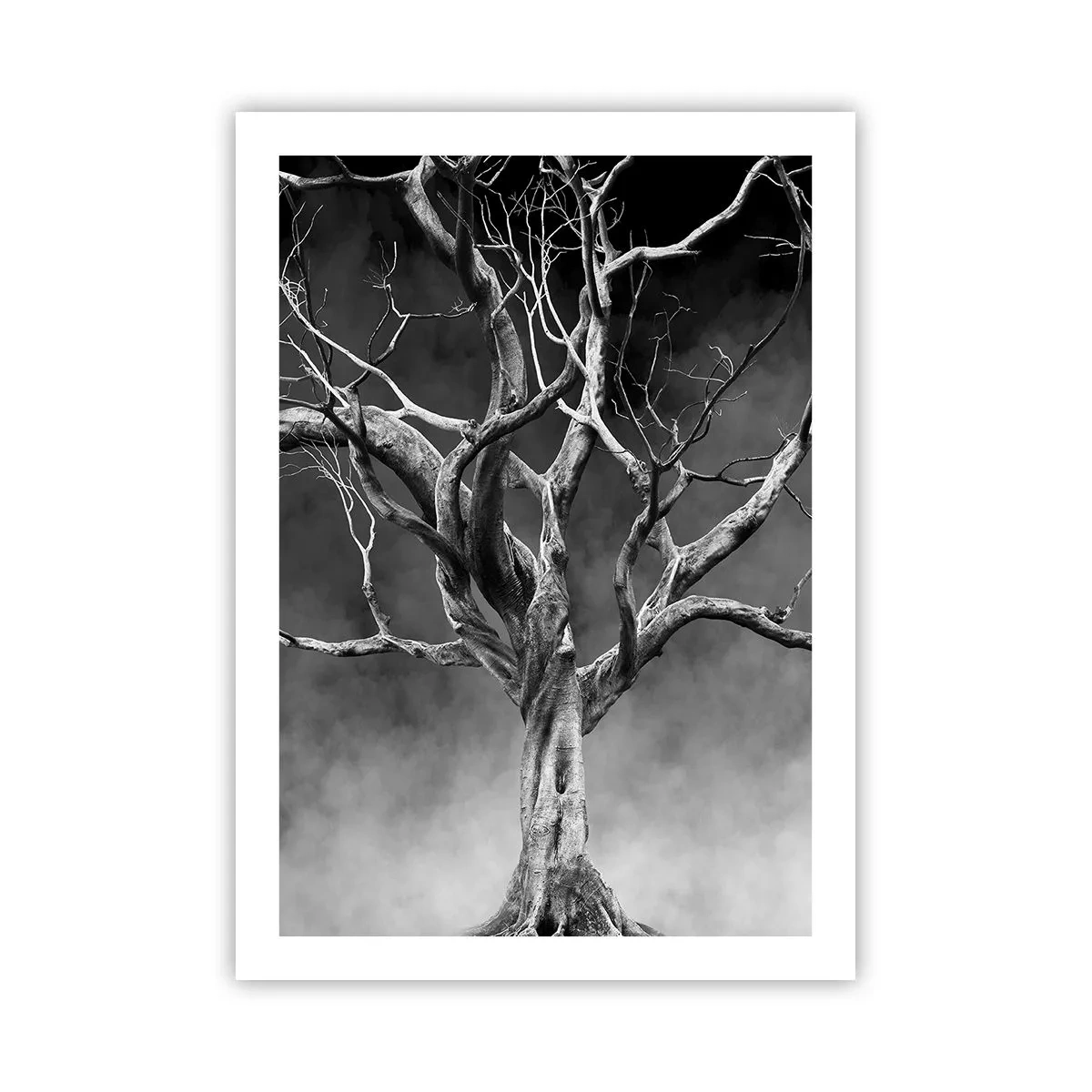 Plakat - Czarno-biały obraz drzewa na tle mgły - 50x70cm - Pierwotne i święte - Nowoczesna dekoracja ścienna do salonu, kuchni i sypialni ARTTOR