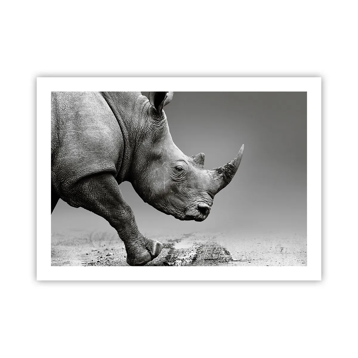 Plakat - Niepowstrzymana siła - 70x50 cm