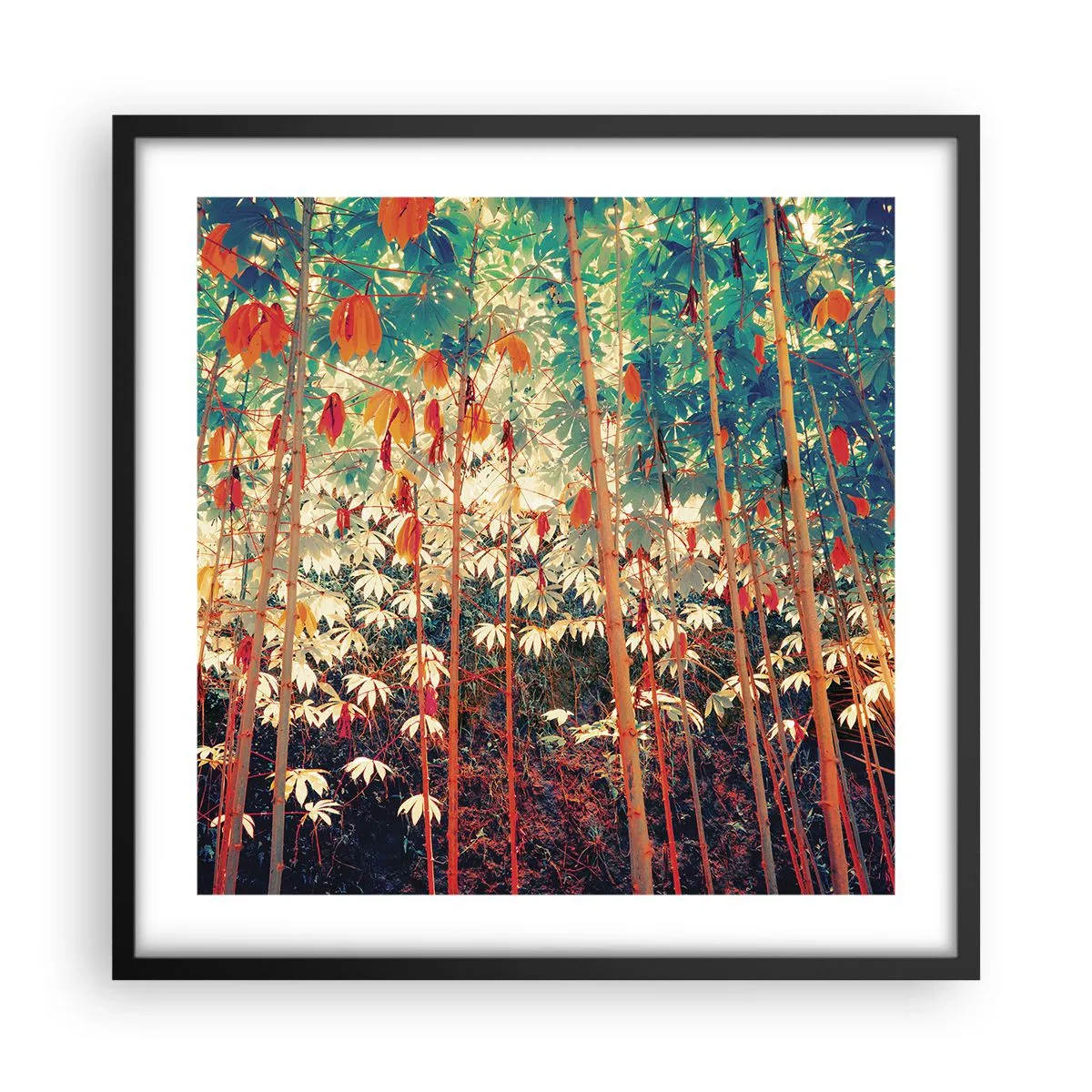 Plakat w czarnej ramie - Tajemne życie liści - 50x50 cm